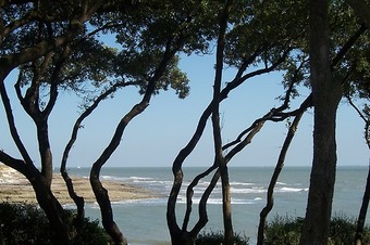 vue mer chemin des douaniers soleil charente domaine des fées